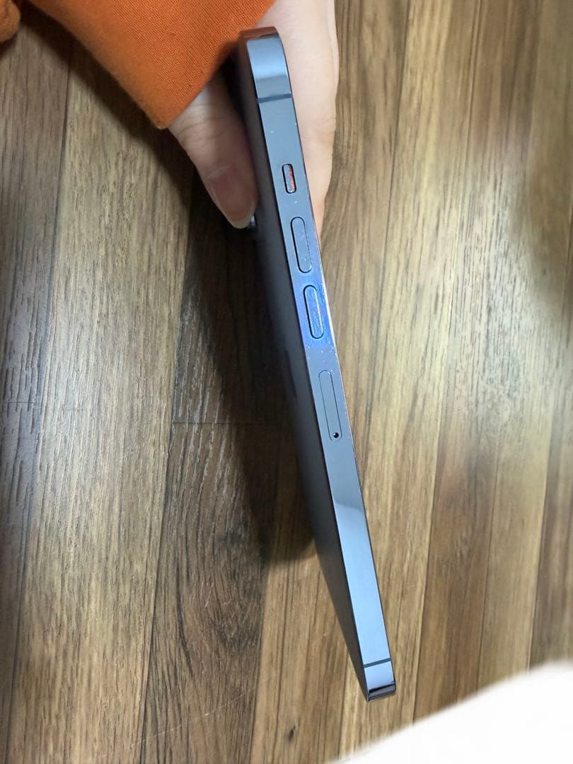 Apple iPhone 13 Promax 256gb シエラブルー