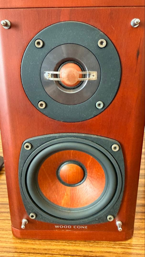 Victor SX-WD5 ウッドコーン 2ウェイスピーカー