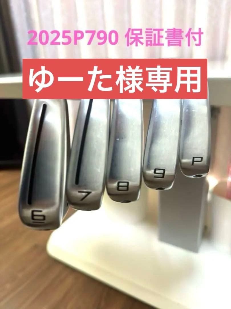 P 790アイアン2025（保証書付）