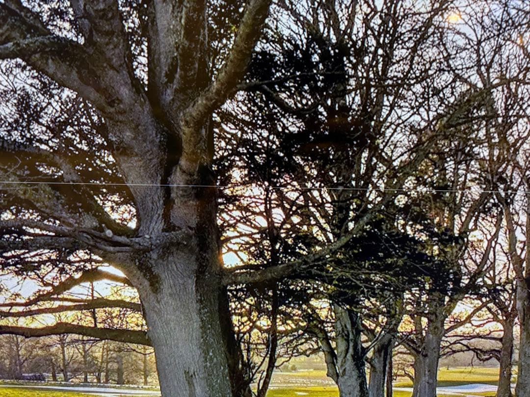 SONY 4Kテレビ XRJ-50X90J 2022年製