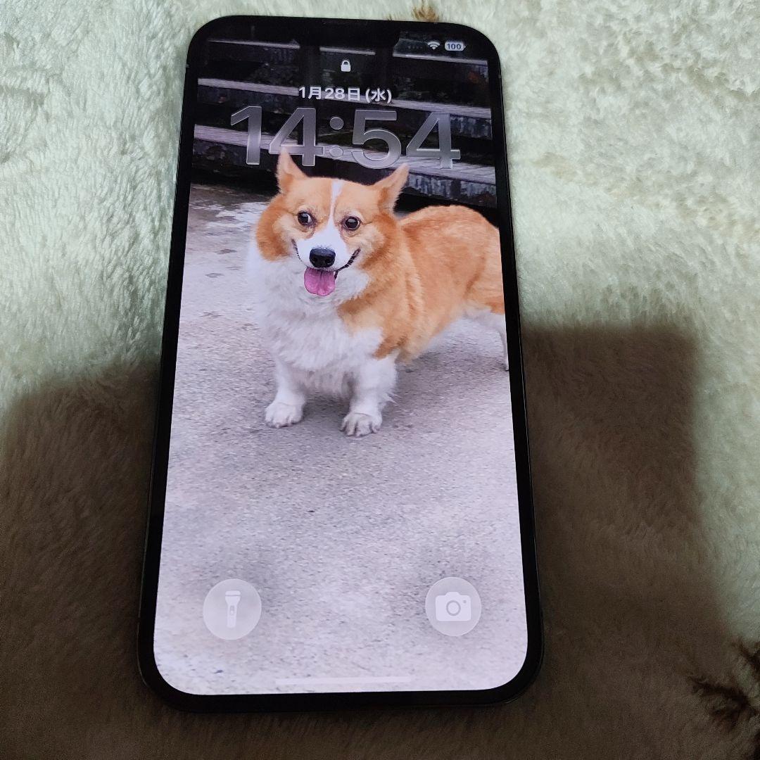 スマートフォン本体 iPhone13 Pro Max 256GB