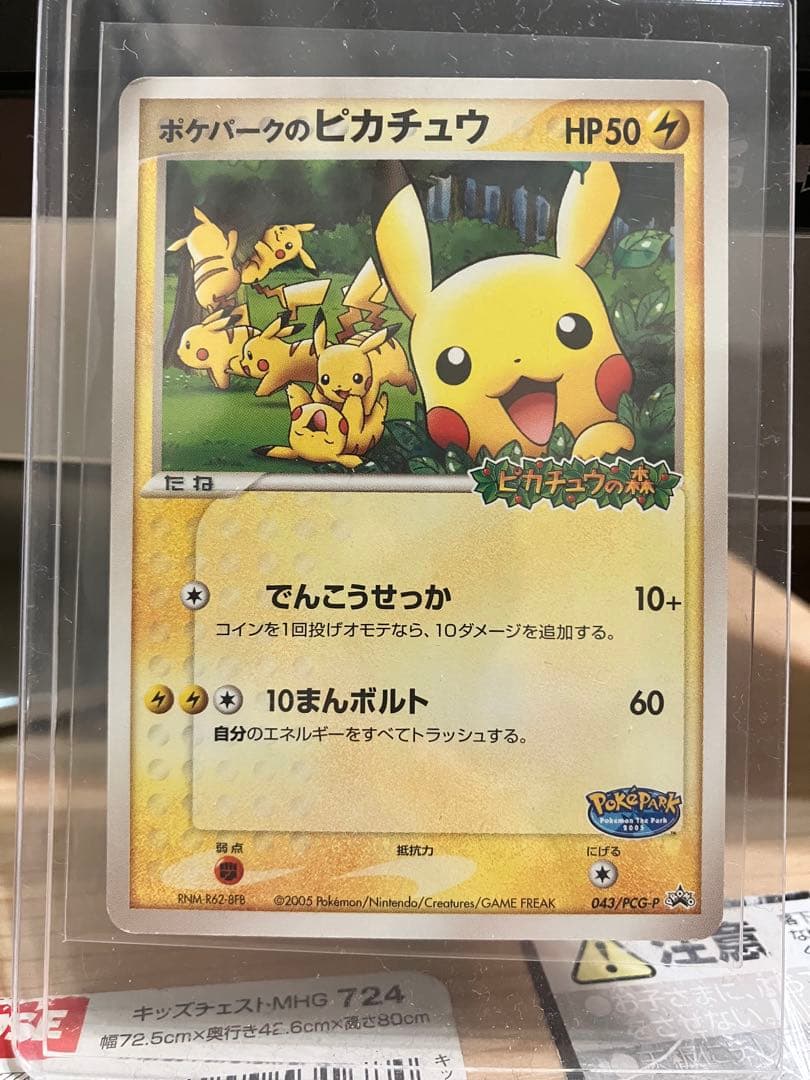 ポケパークのピカチュウ PROMO PCG-Pプロモカード 043/PCG-P