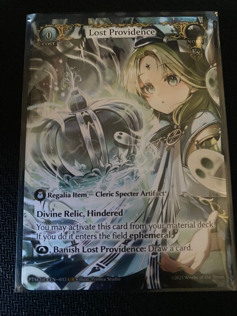 その他 lost providence grand archive