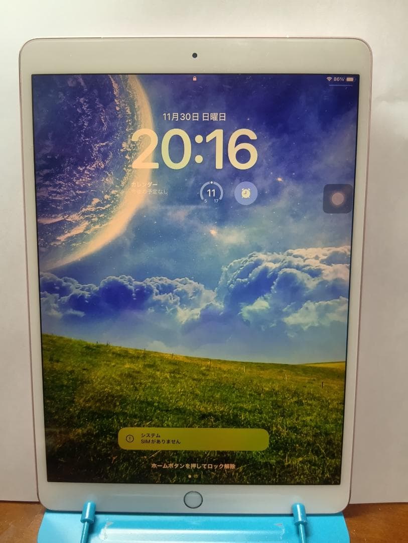 iPad Pro Wi-Fi + Cellular 256GB ローズゴールド