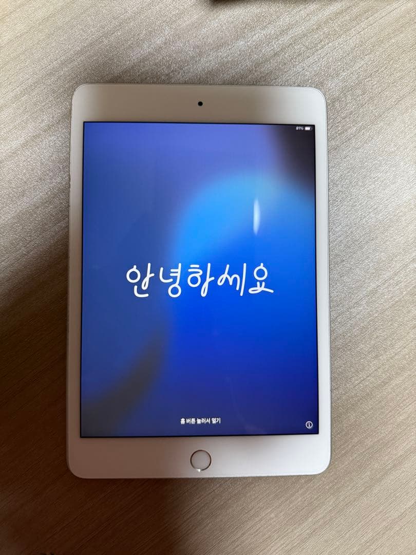 iPad mini 5 Wi-Fiモデル 64GB