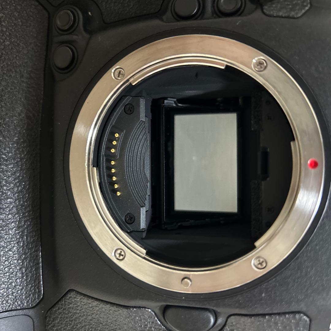 Canon 1DX レリーズ61000以下