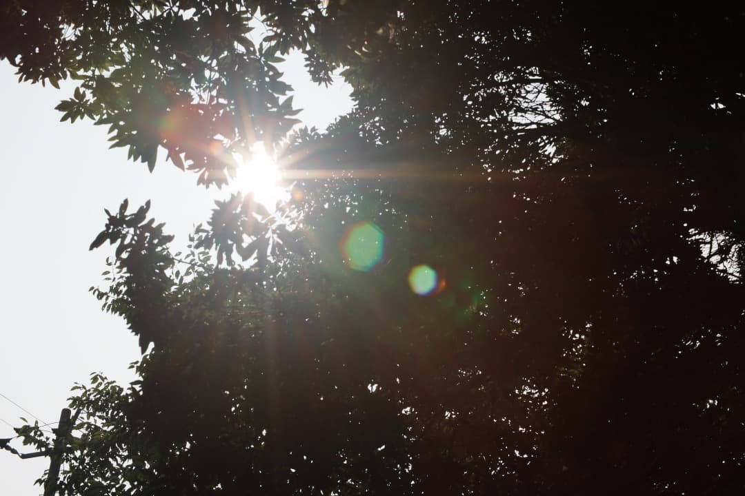 【極美品】ニコン Ai-s Nikkor 50mm F1.4 大口径 583