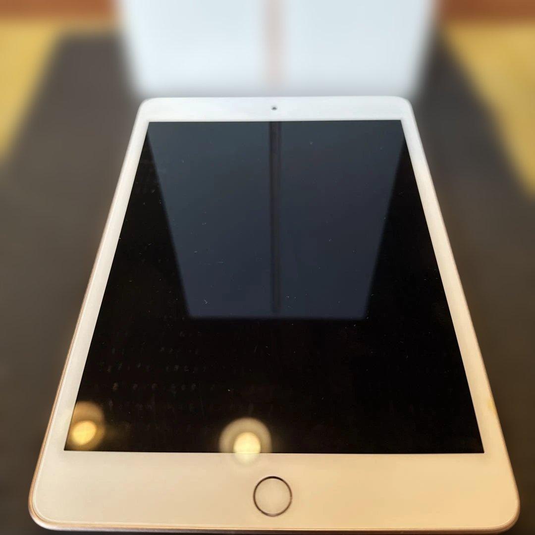 Apple iPad 256GB 5th Gen Gold 本体