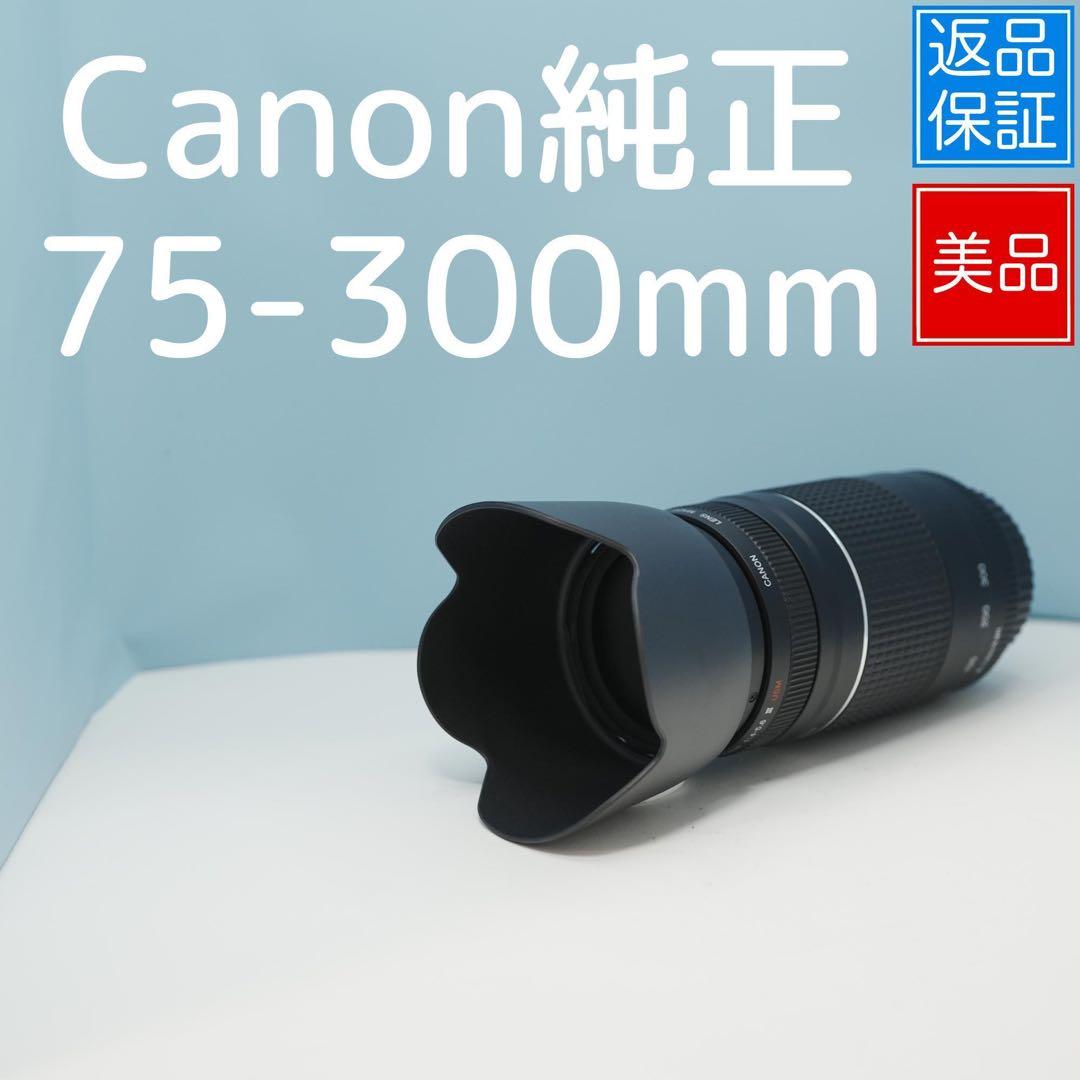 Canon純正 75-300mm 望遠レンズ 美品 a4512