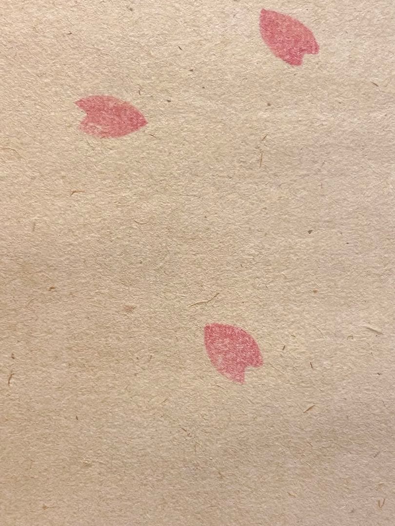 西垣大道 掛軸 掛け軸「開花香満衣」書 臨済宗 大徳寺 極楽寺直筆 茶掛 桜 春