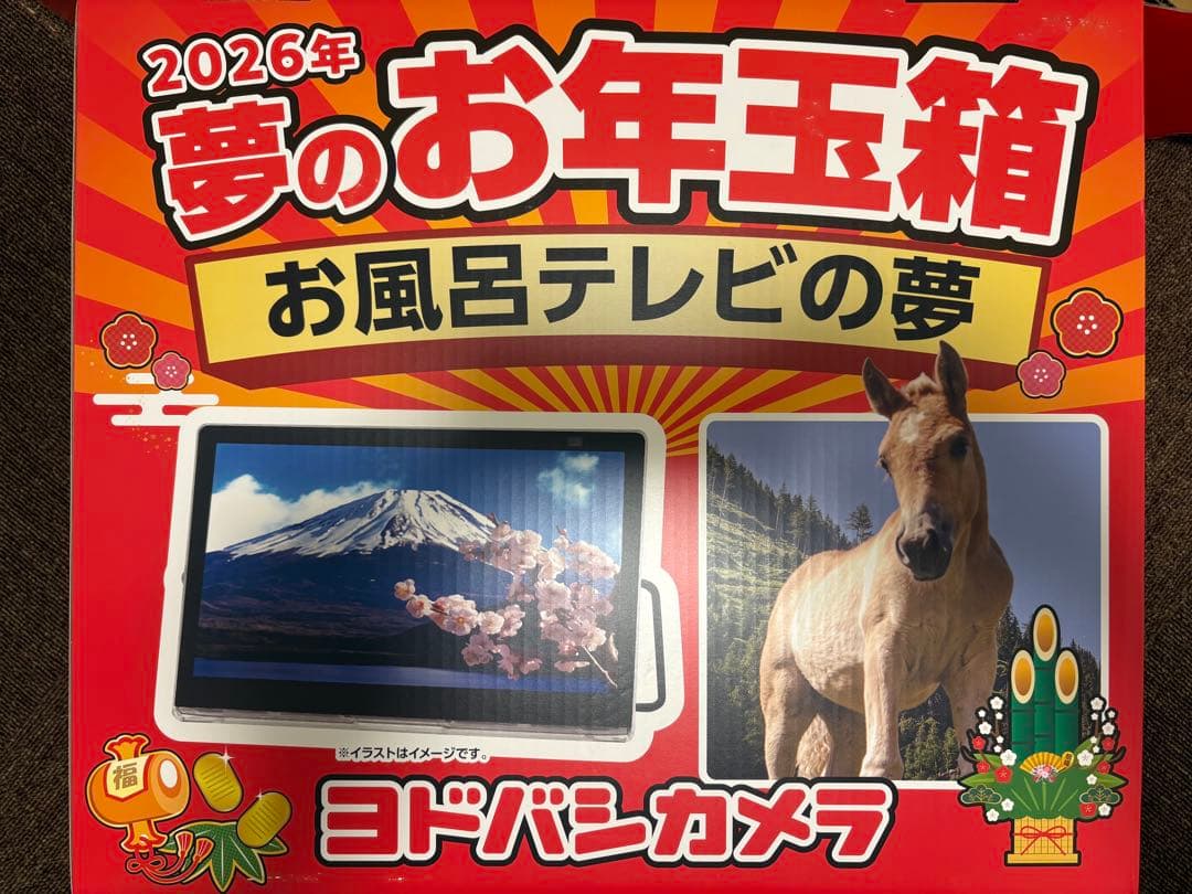 2026年 ヨドバシ お風呂テレビの夢 夢のお年玉箱 福袋 ビエラ VIERA