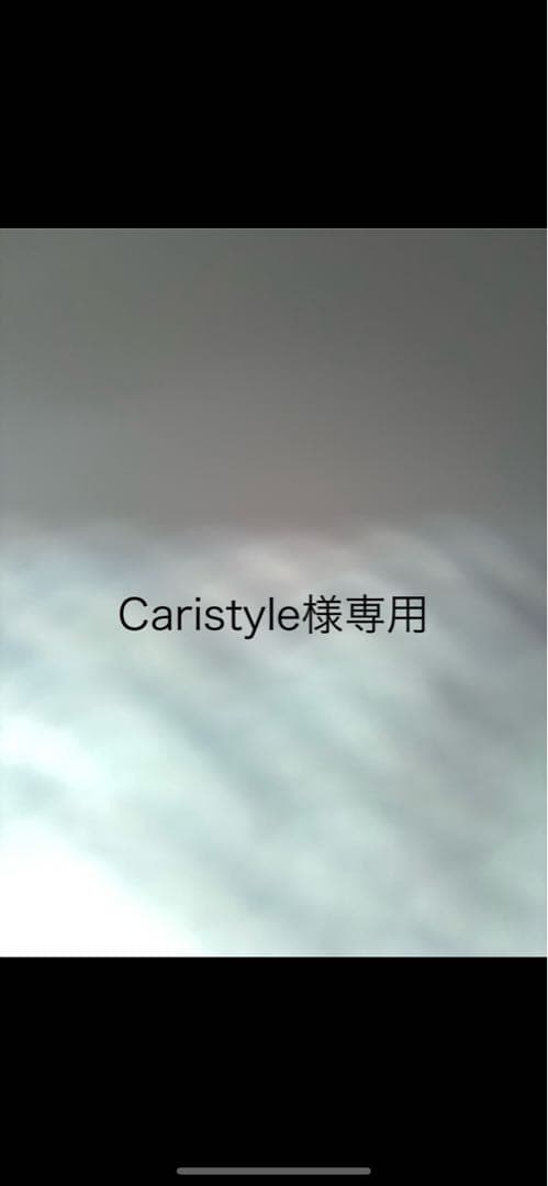 バッグ Caristyle