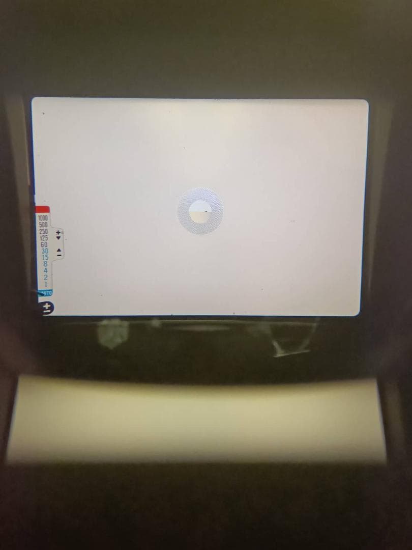 超美品　OM-2N シルバー 50mm f1.8 モルト新品交換済　M863