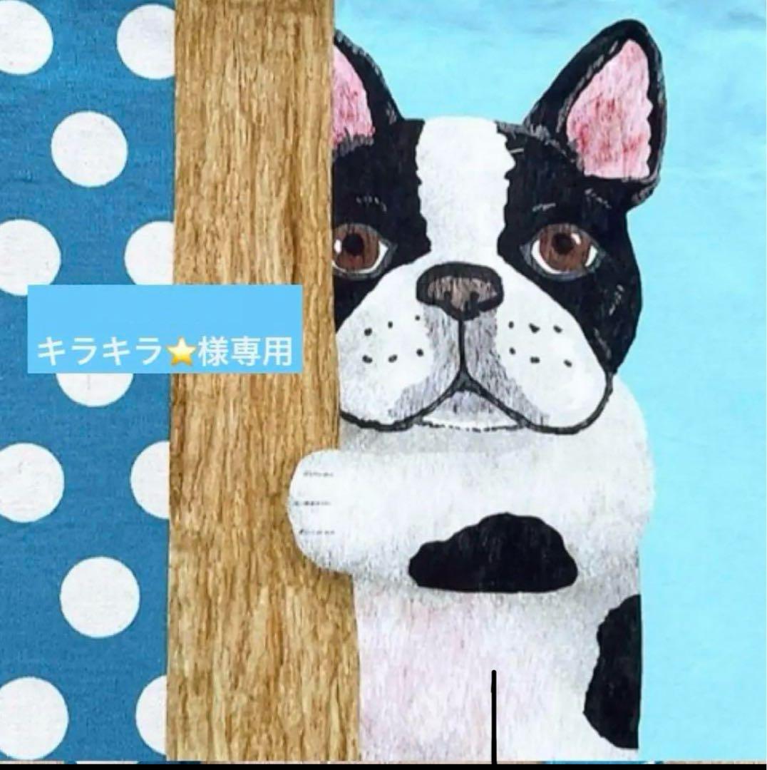 キラキラ⭐️　いちご＆猫