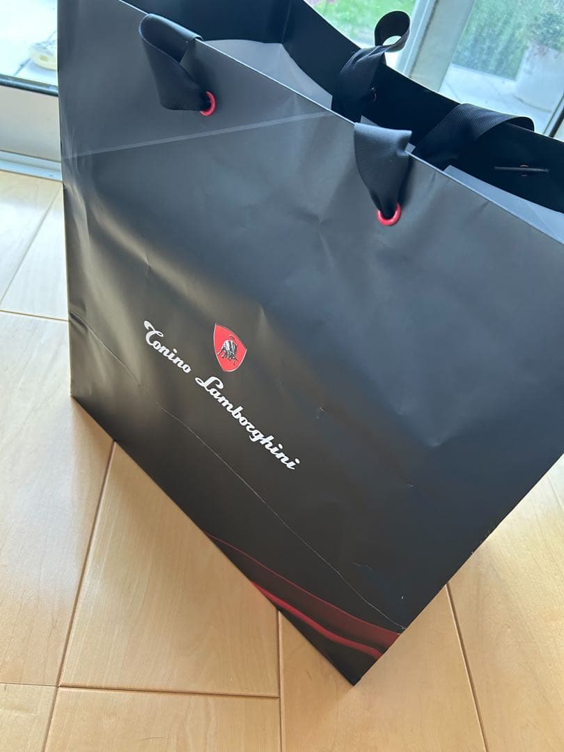 ランボルギーニ美顔器 ALPHA ONE アルファワン　美品