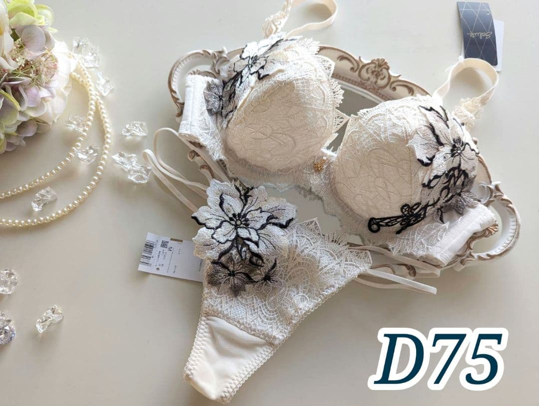 サルート72【ペルー】D75+ソングMサイズ プレステージ