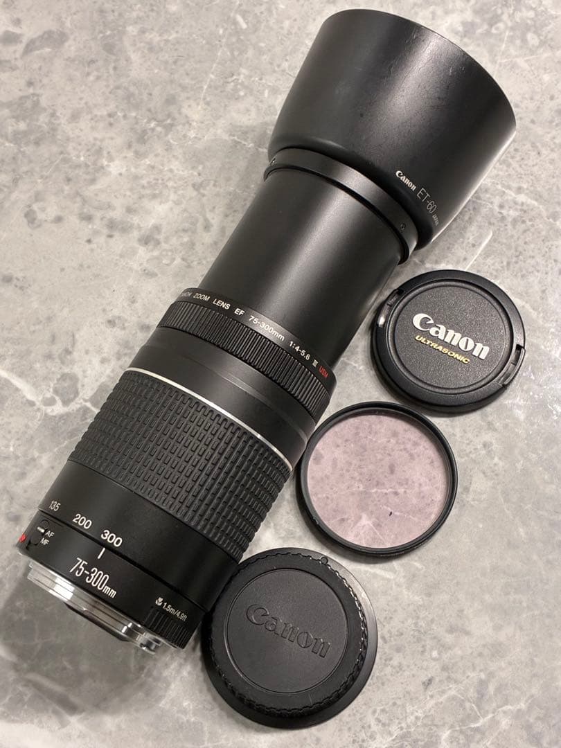 ⭐️美品⭐️Canon EF 75-300mm F/4-5.6 III USM