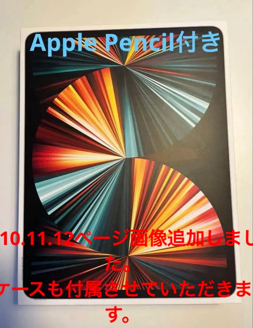 IPad pro12.9 第5世代 128GB WIFI＋Cellularモデル