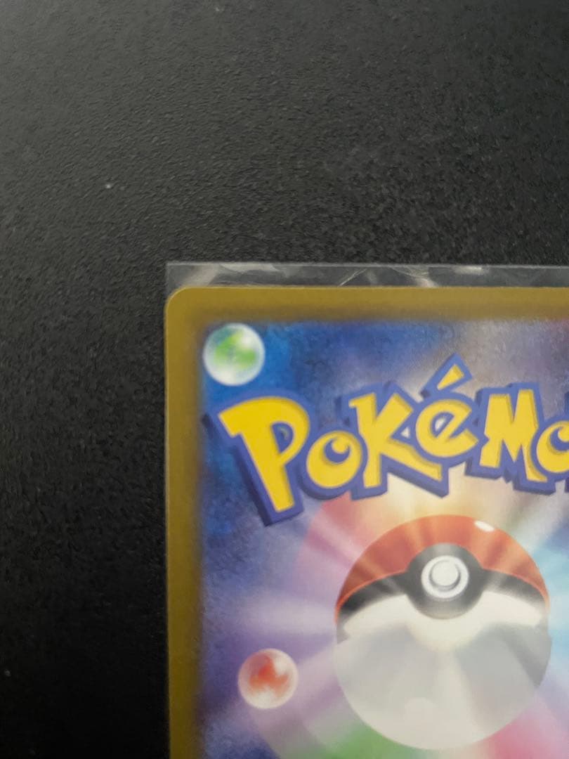 き*要様 メガカイリューEX SAR