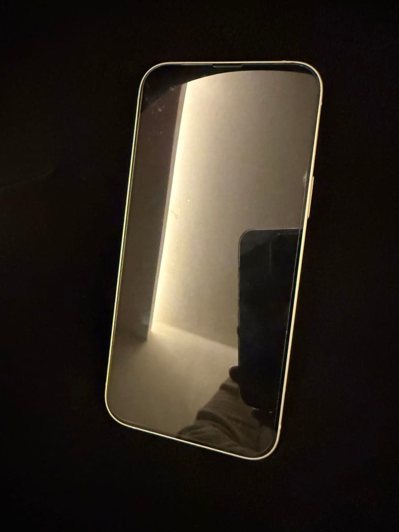 Apple iPhone 14 plus 256GB スターライト