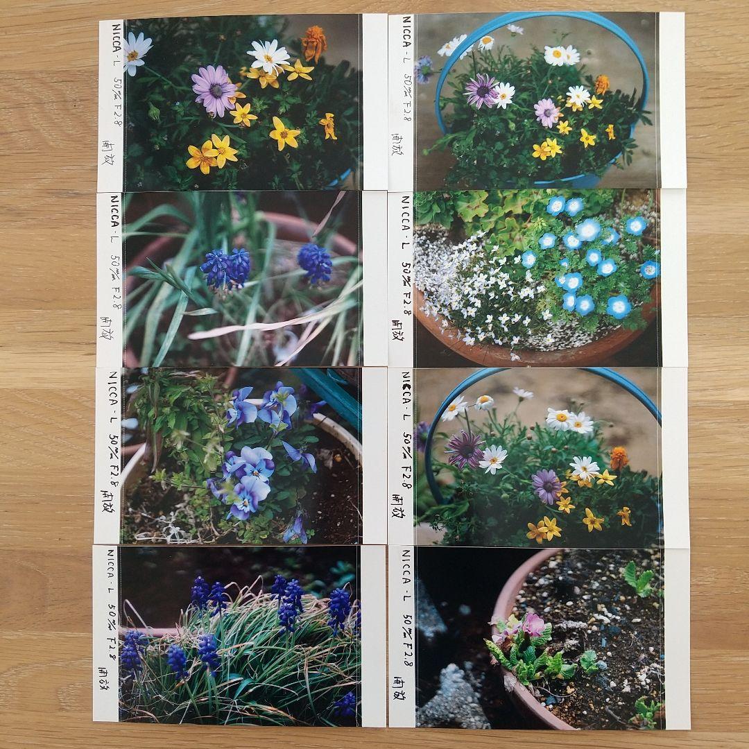 NICCA-L 50mmF2.8 後期型 フィルター径40.5mm