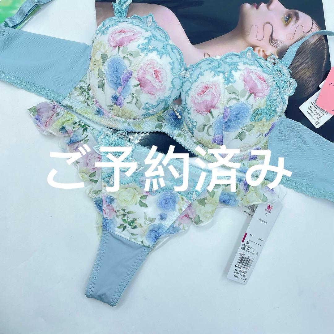 ワコール ルジェ ハッピーFitブラ イギリスの宮殿F65-M