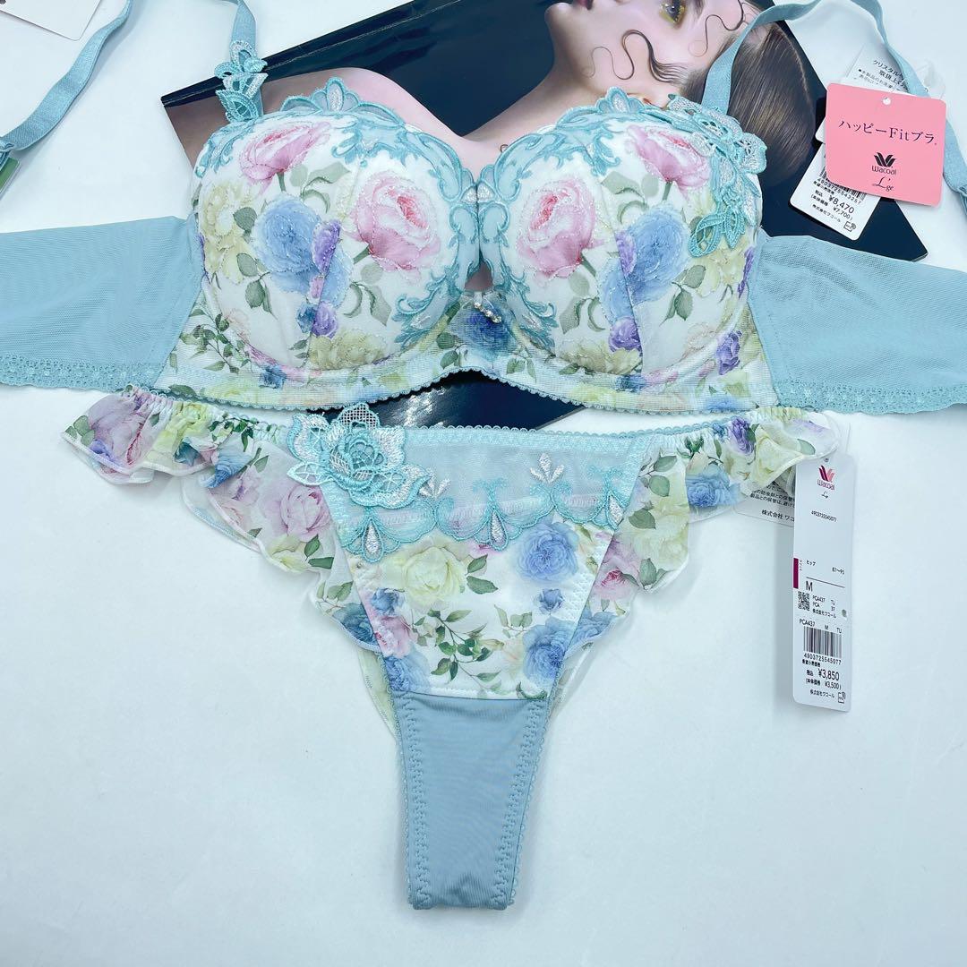 ワコール ルジェ ハッピーFitブラ イギリスの宮殿F65-M