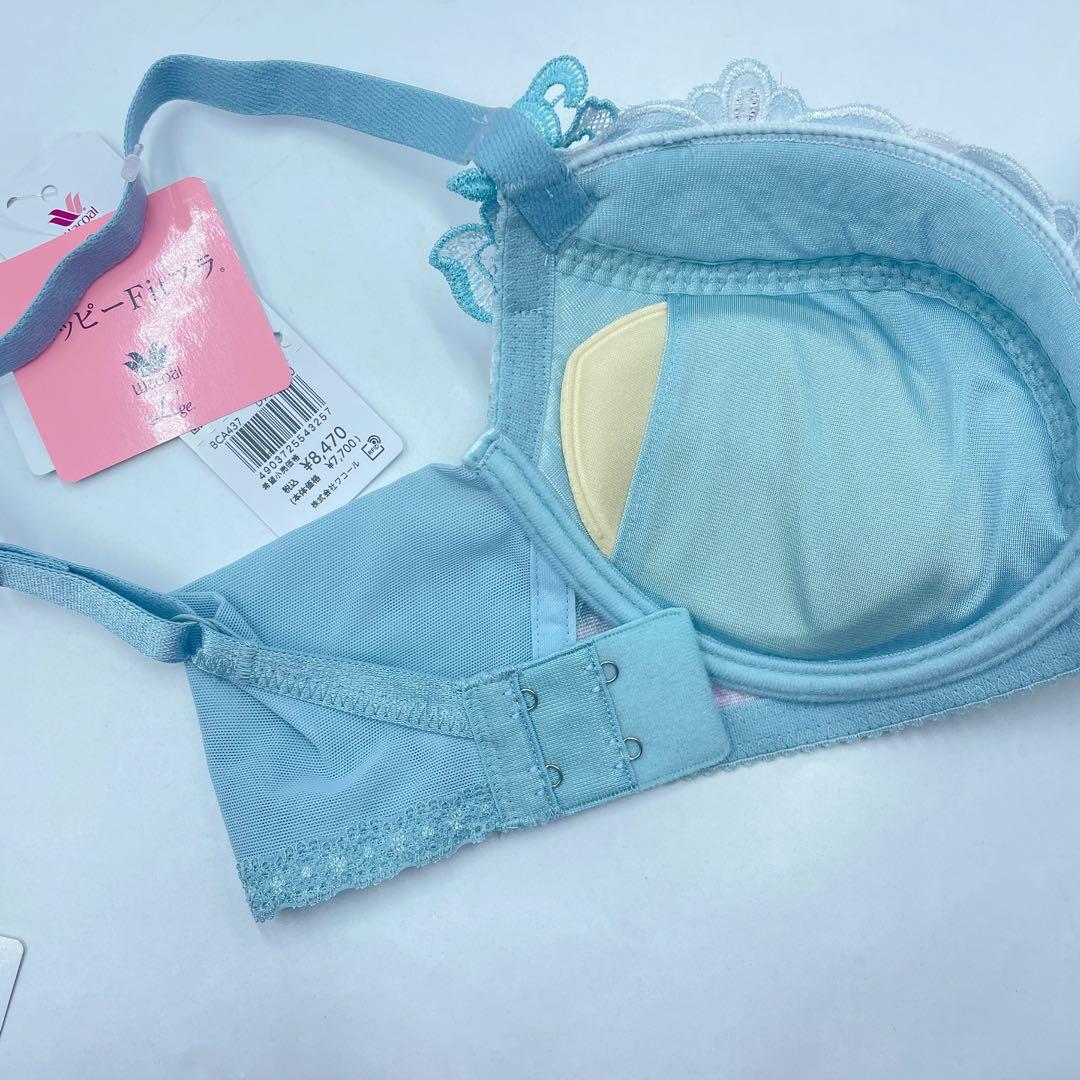 ワコール ルジェ ハッピーFitブラ イギリスの宮殿F65-M