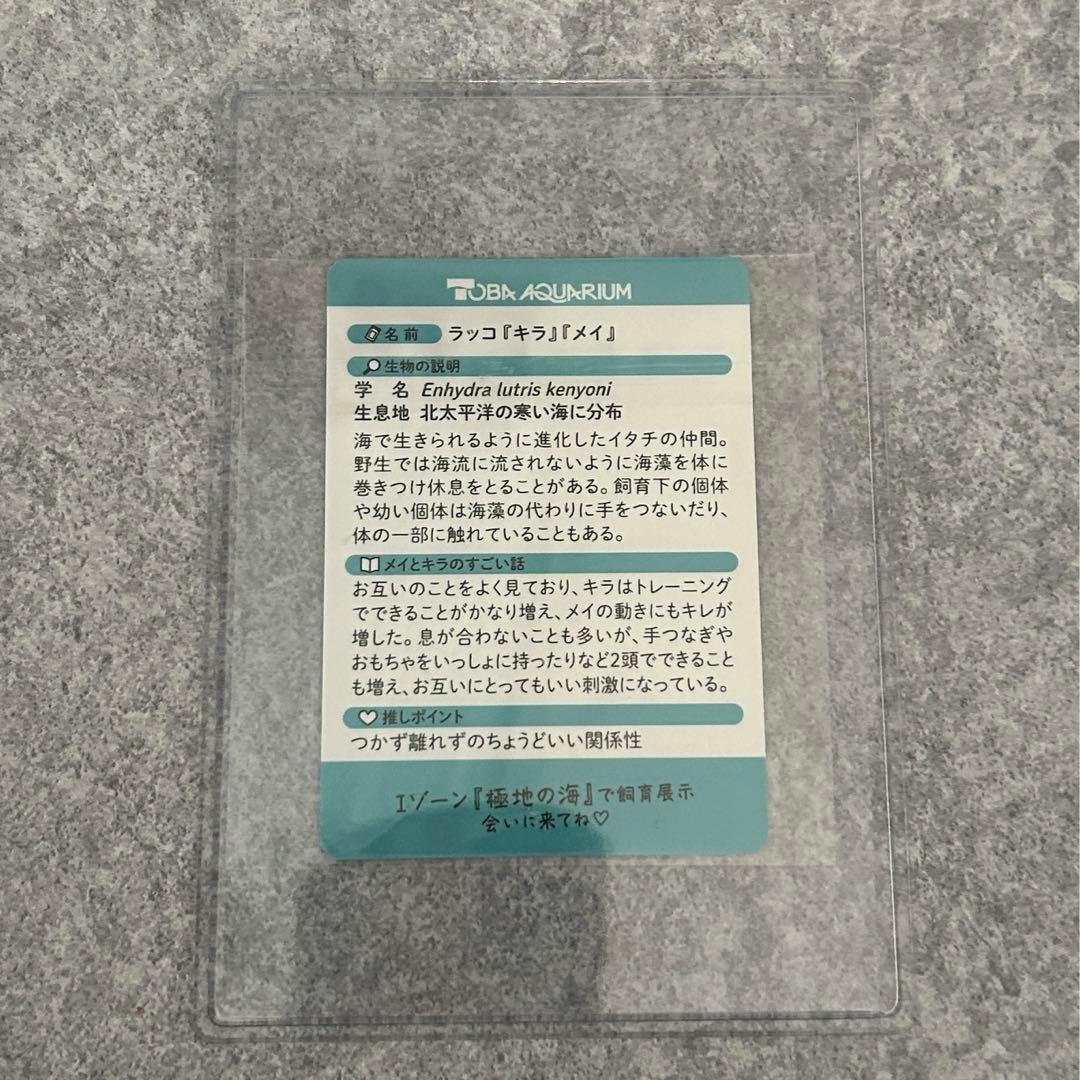 鳥羽水族館 コレクションカード レアカード ラッコ