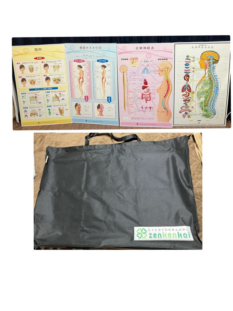 自律神経系統図　カイロプラクティックパネル　美容パネル　収納袋付き