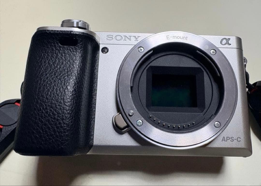 SONY α APS-C ミラーレス一眼 シルバーα6000