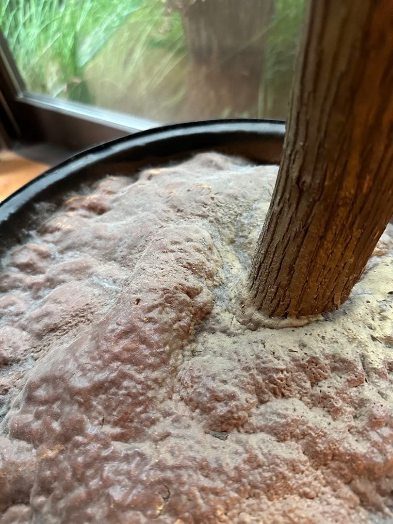 よしーの様用　Curtis Jere 1960年代　brass tree