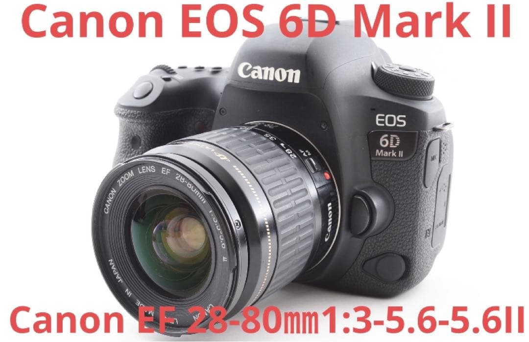 Wi-Fi&動画/Canon EOS 6D Mark II標準レンズセット