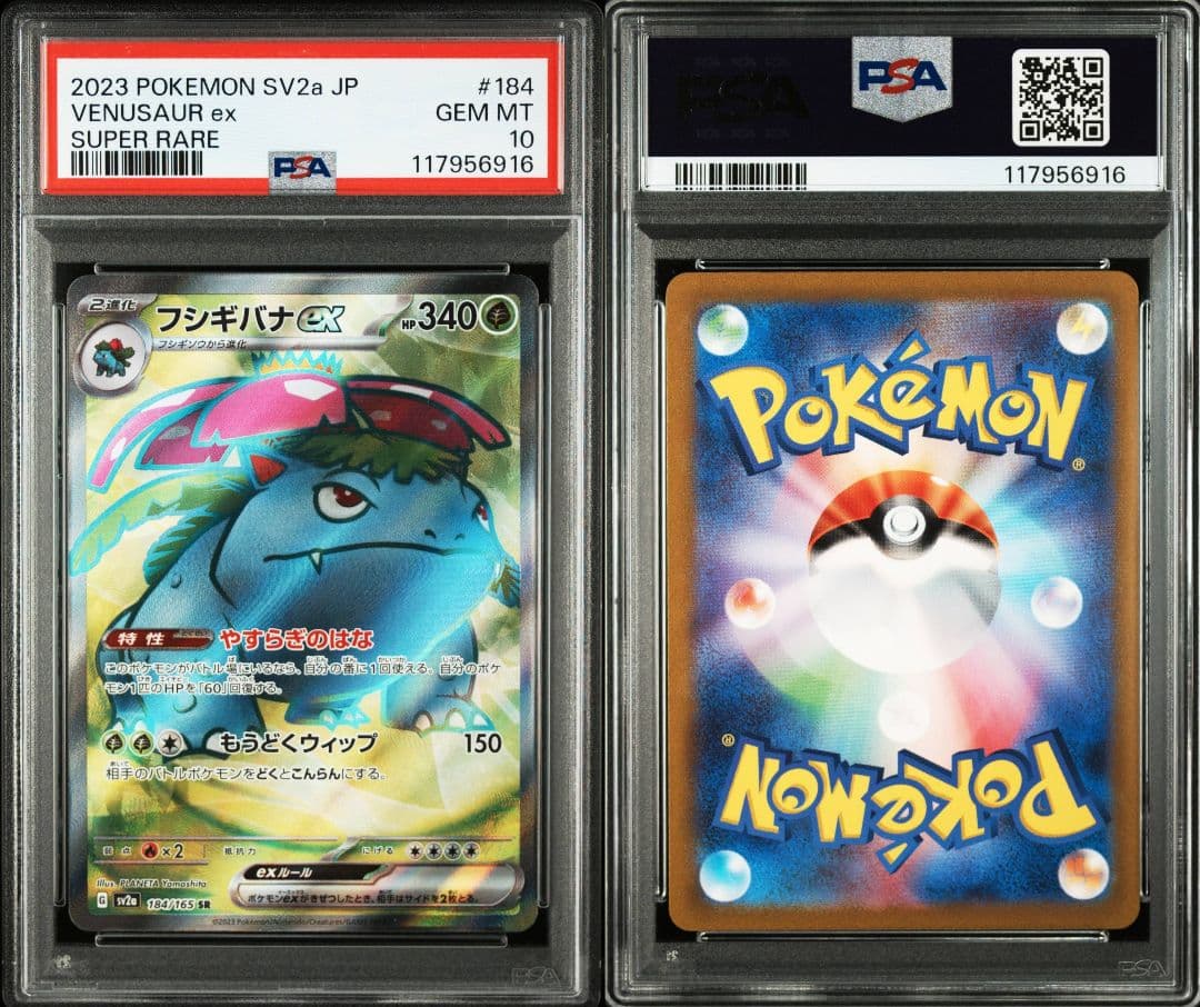 連番 フシギバナ リザードン カメックスex sr psa10 最新ケース