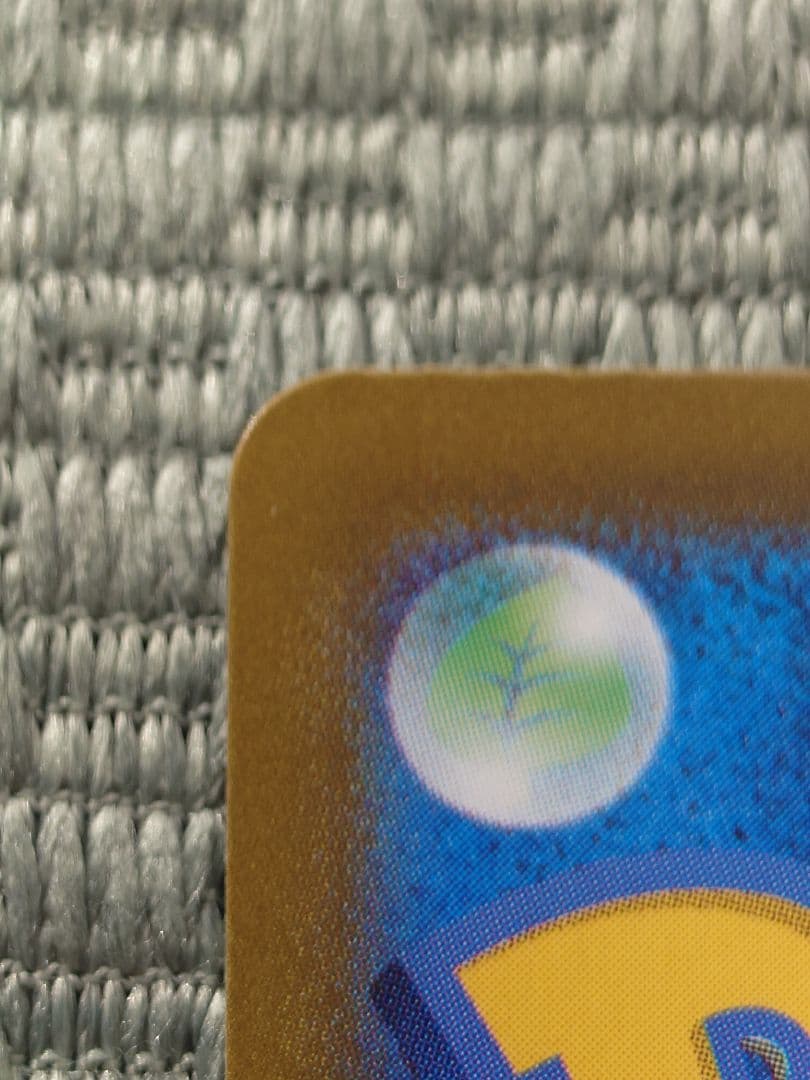 テラスタルフェス　イーブイex SAR、リーフィアex SAR