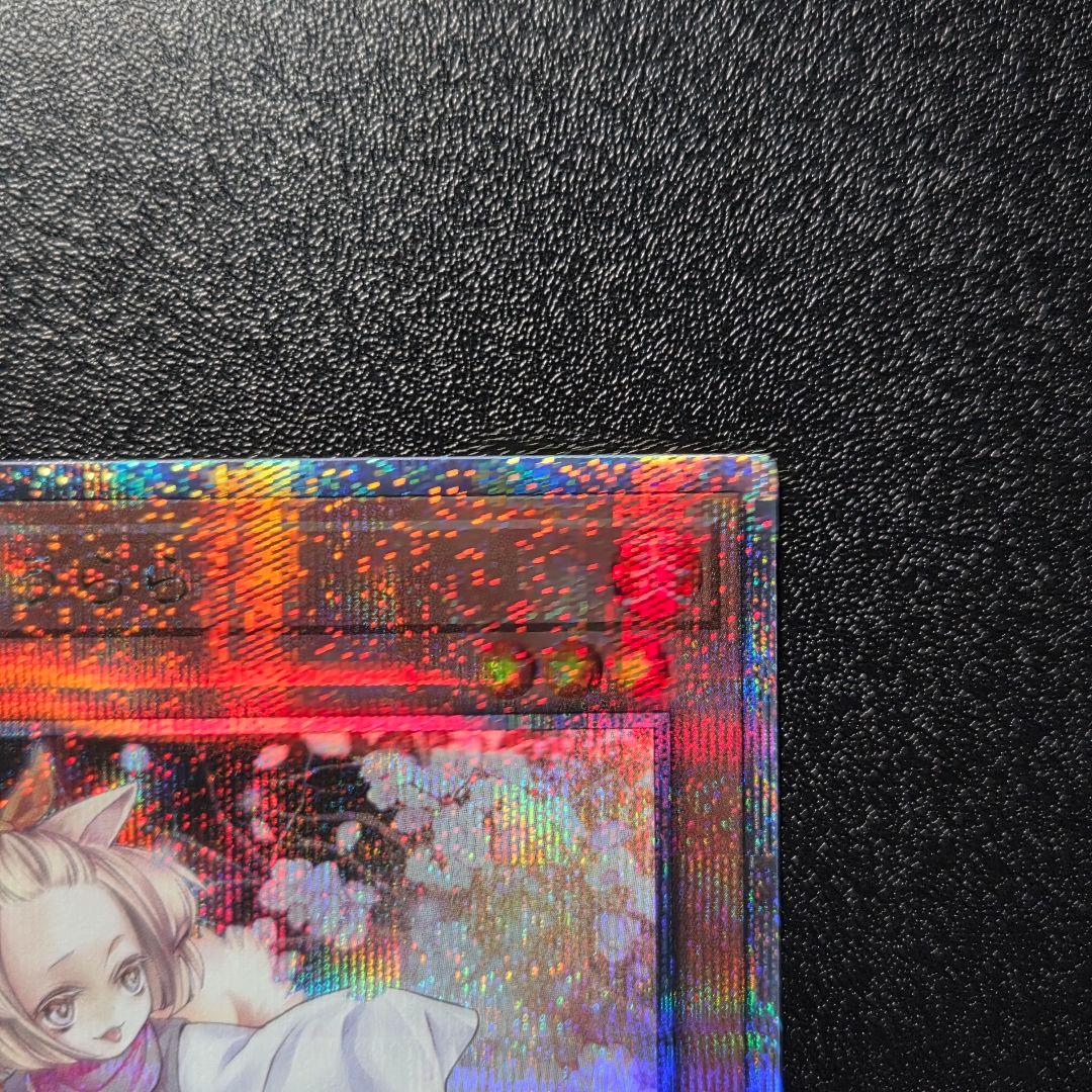 遊戯王　灰流うらら　25thシク