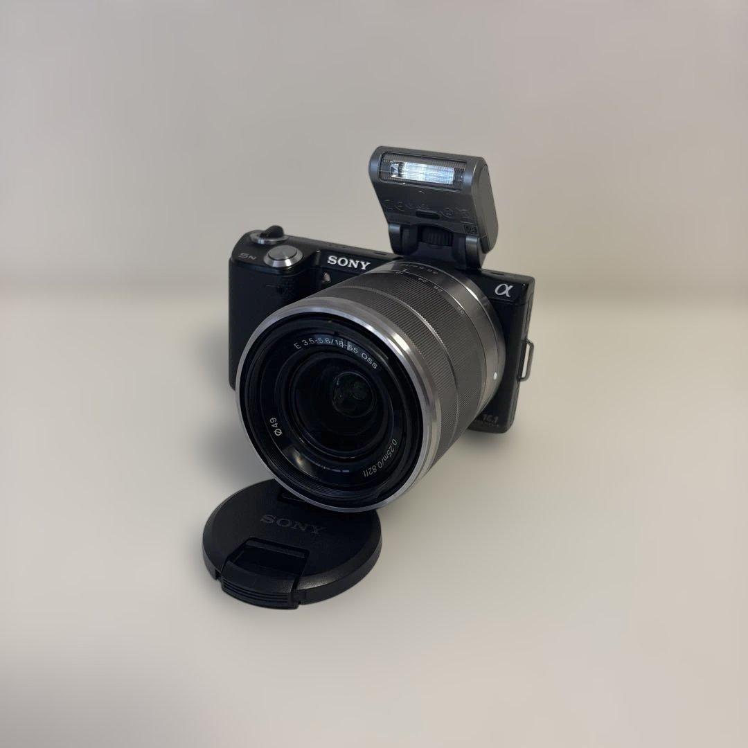 SONY NEX-5N + 18-55 OSS(SEL1855) 箱付 SD付