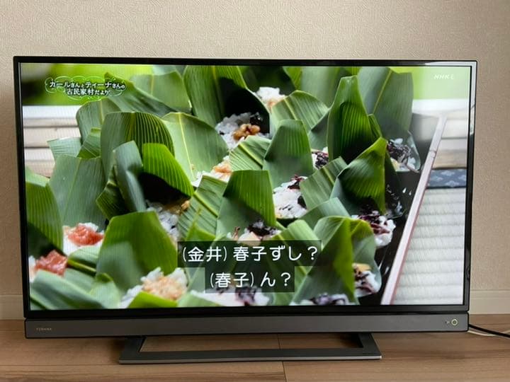 TOSHIBA REGZA 40V31 【即購入可】