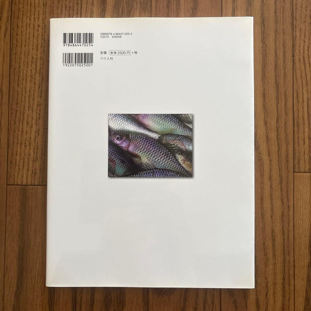 日本タナゴ釣り紀行 2 (古里の風景と鱮を巡る平成の旅)