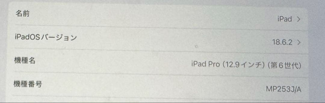 iPad Pro 12.9インチ第6世代Wi-Fi +Cellular 1TB