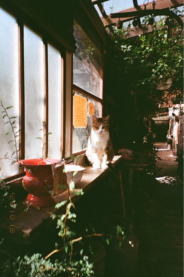 Natura classica【マーズ】