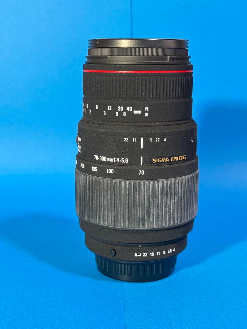 シグマ APO 70-300mm F4-5.6 DG MACRO PENTAX