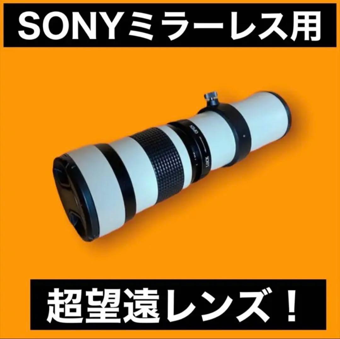 驚異のズームレンズ！SONYミラーレスカメラ用！便利な袋付き！アダプター付き！