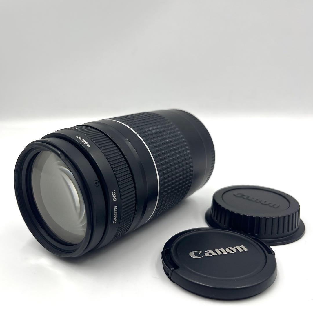 Canon EF 75-300mm 1:4-5.6 Ⅲ