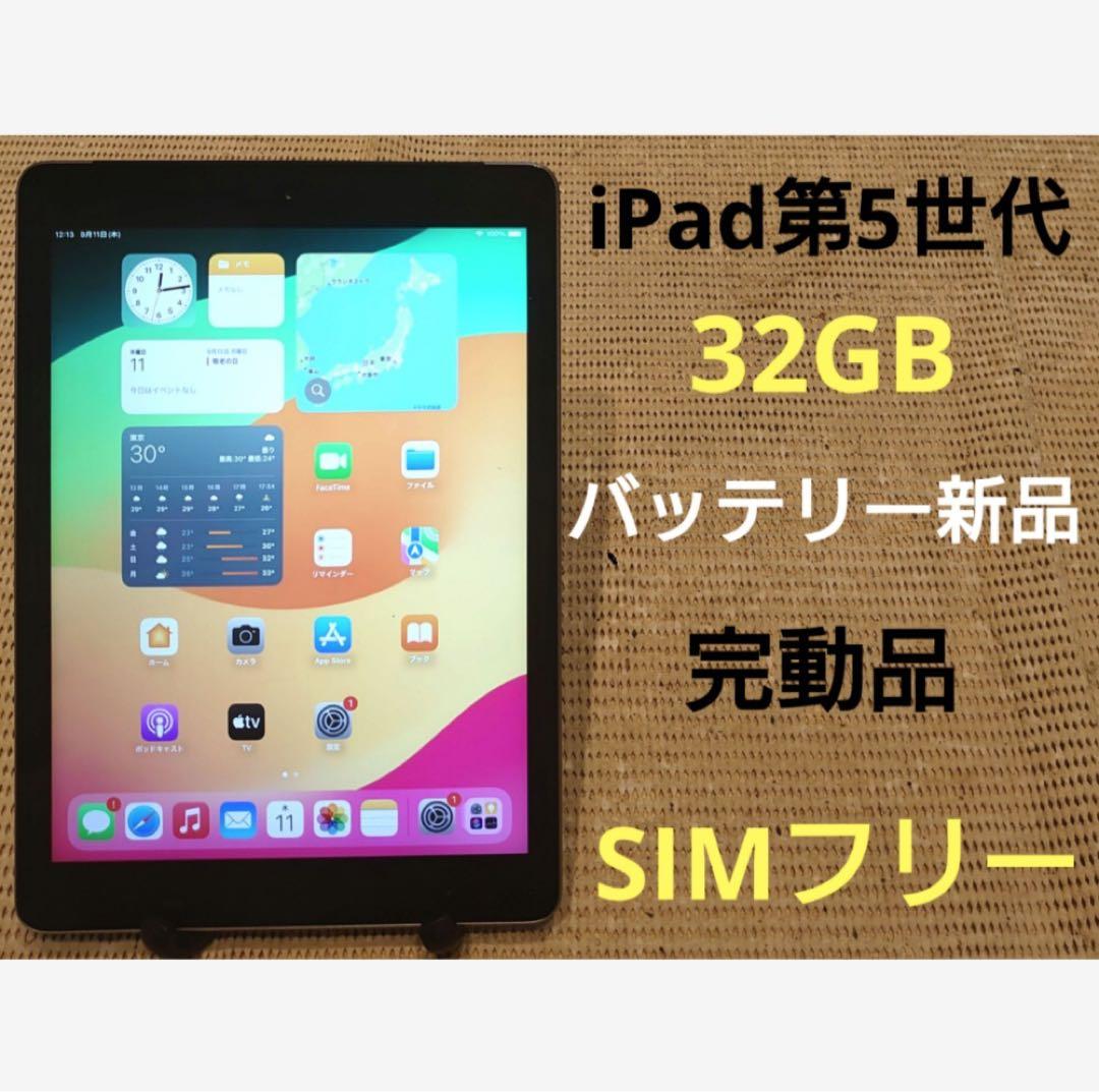 完動品SIMフリーiPad第5世代(A1823)本体32GB送料込0HLJJ