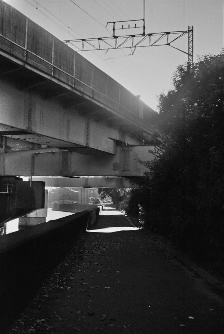 Leica DII　バルナックライカDII