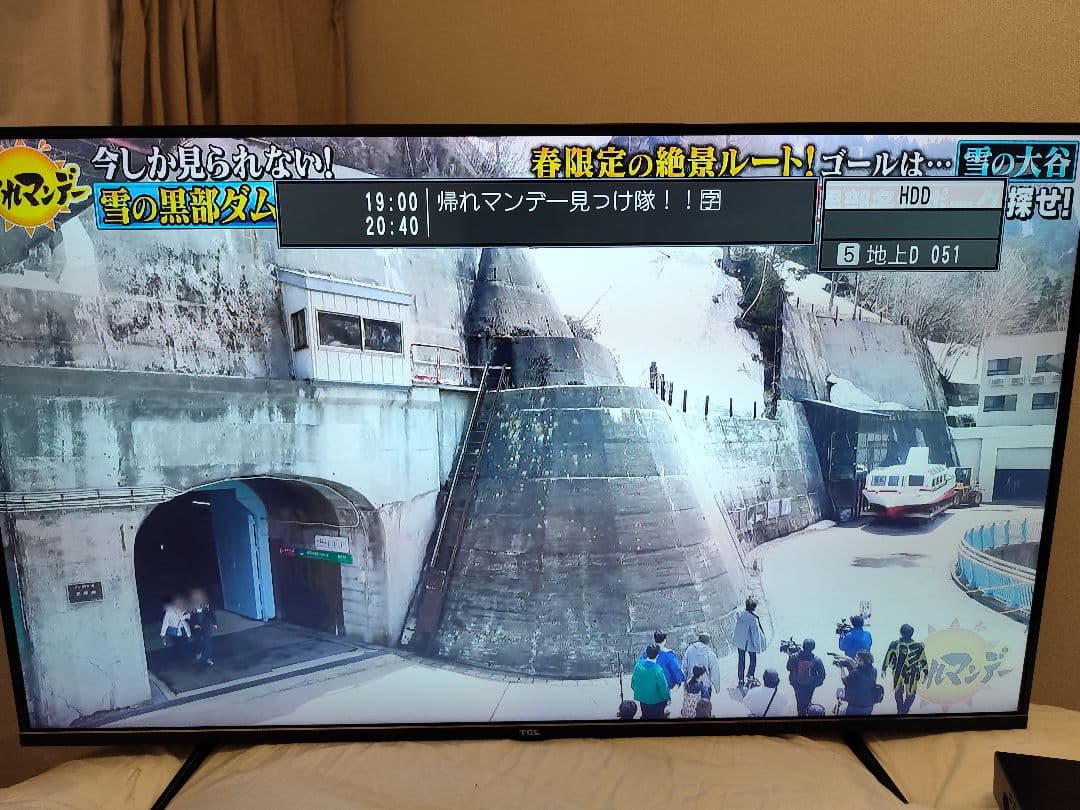 TCL 43インチ 液晶テレビ 2019年モデル