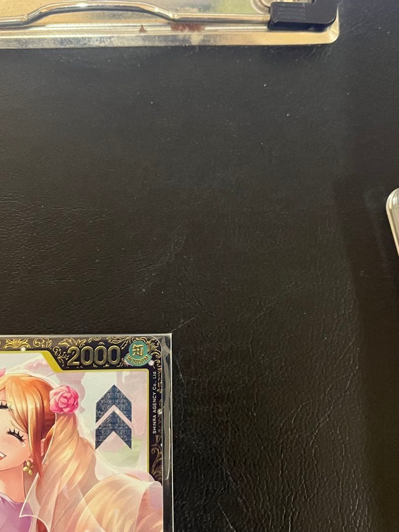 あんしん鑑定付！希少　英語　シャーロット・プリン　チャンピオンシップ2024