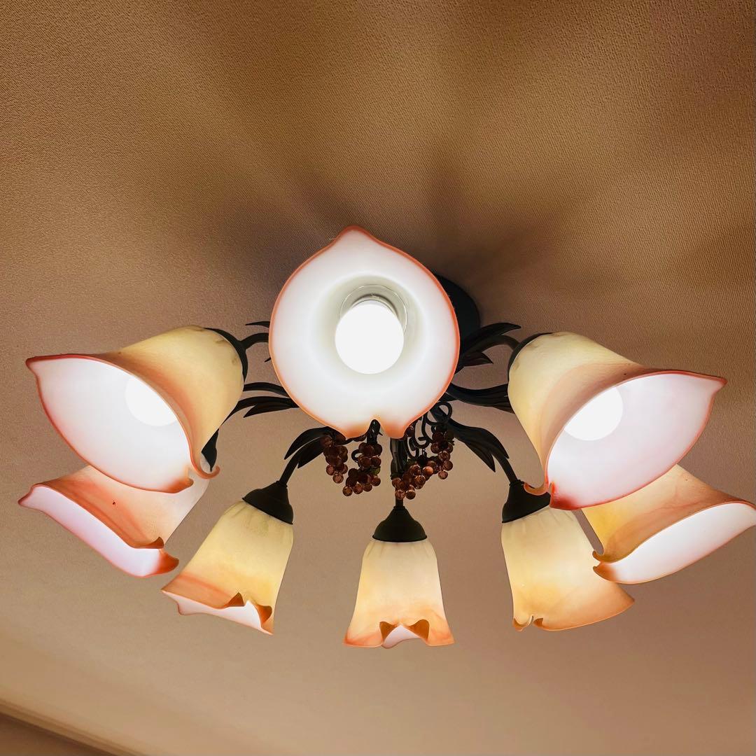 チッチ　コイズミ LED VINOLETTA