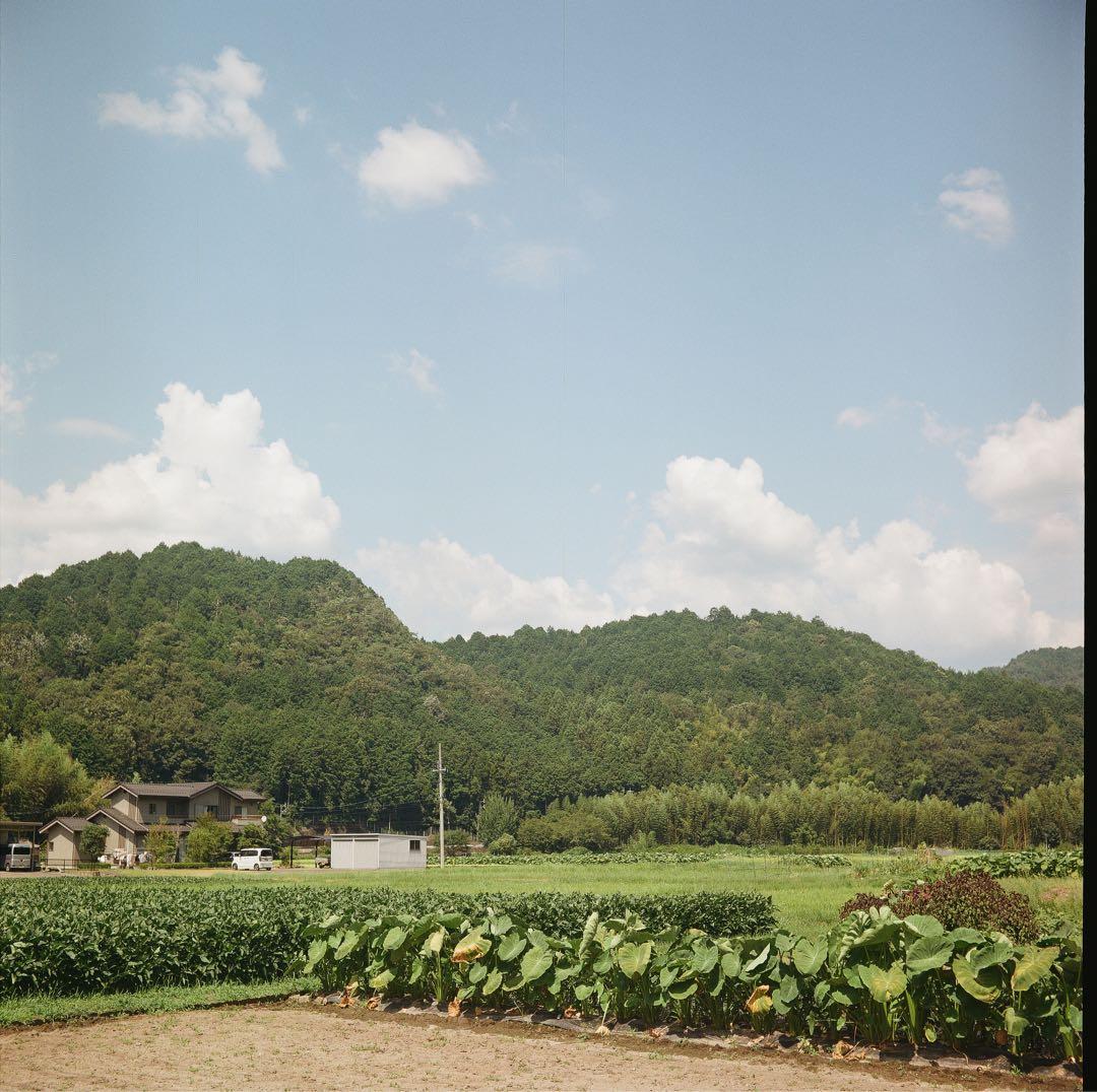 Rolleiflex Flex 二眼レフカメラ